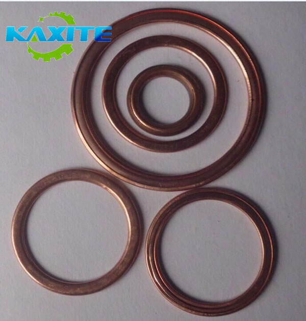 Copper Jacketed Gasket, Finlandiako bezeroaren eskaera